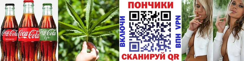 Купить закладки  Нолинск  Cannafood конопля 