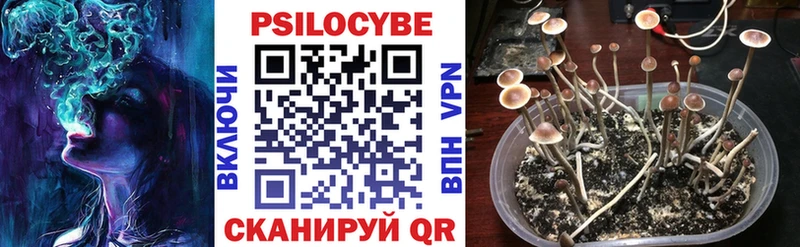 Галлюциногенные грибы GOLDEN TEACHER  Купить  Нолинск 